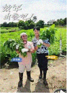 奔跑吧 四虎影院